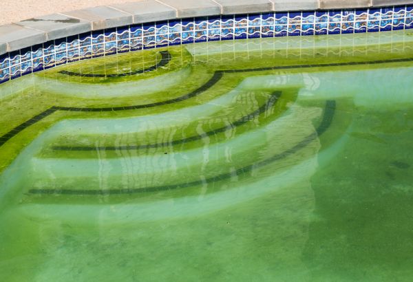 Pool Deck Algae Removal in Riverside