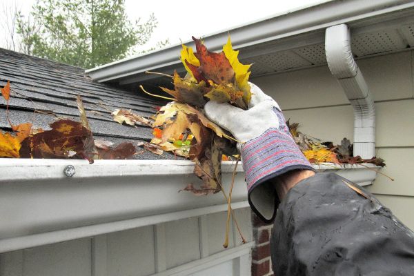 Eaves Cleaning in Riverside
