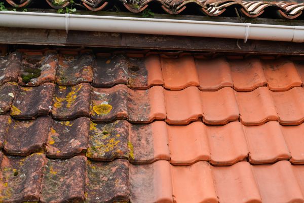 Industrial Roof Cleaning in Riverside